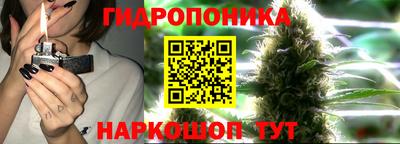 ALPHA-PVP Можга