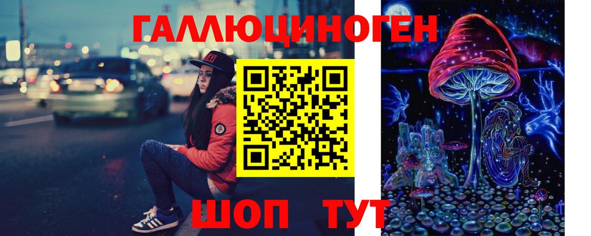 Северобайкальск  наркотики  Вход с VPN  Псилоцибиновые грибы Psilocybe  Галлюциногенные грибы Psilocybe 